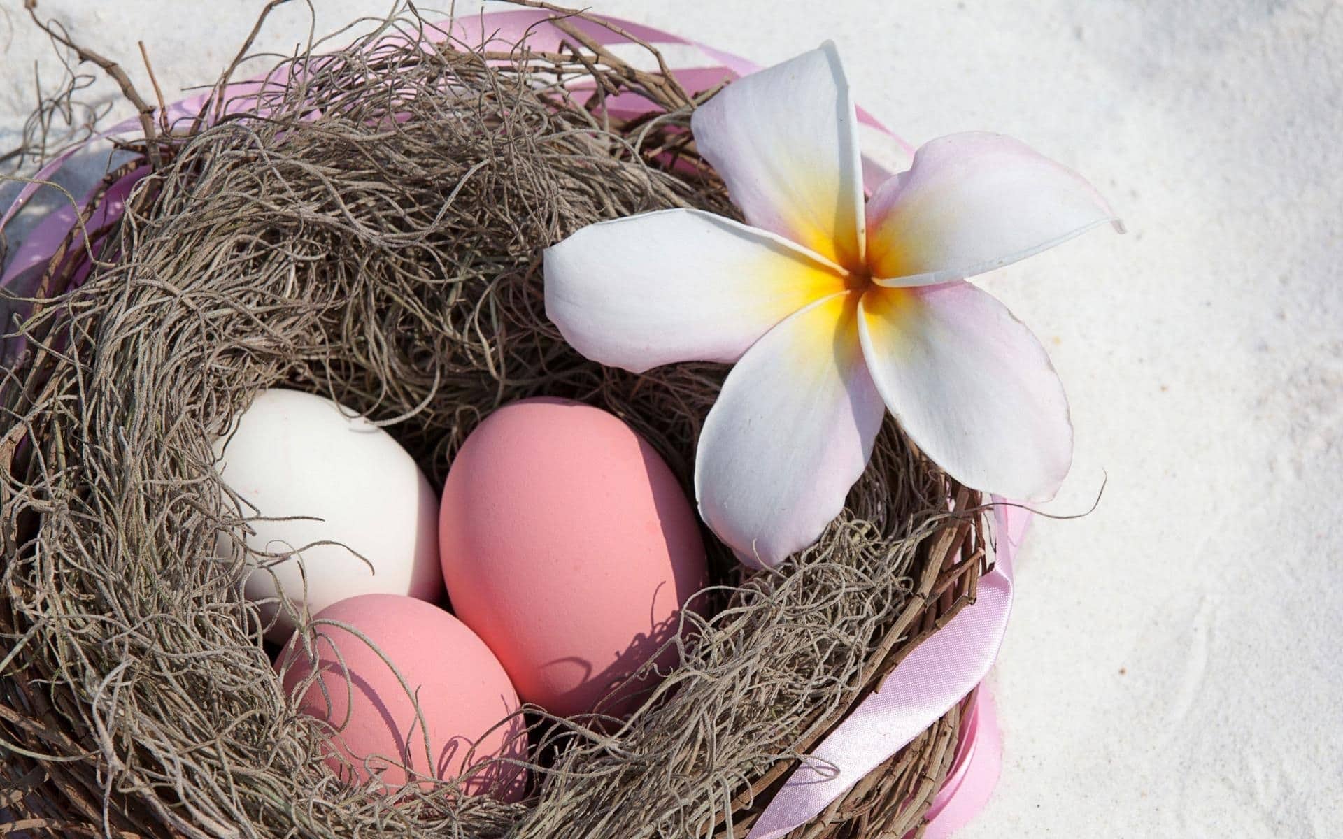 Nest Dream Meaning Get Your Dream Interpretation Now!!!